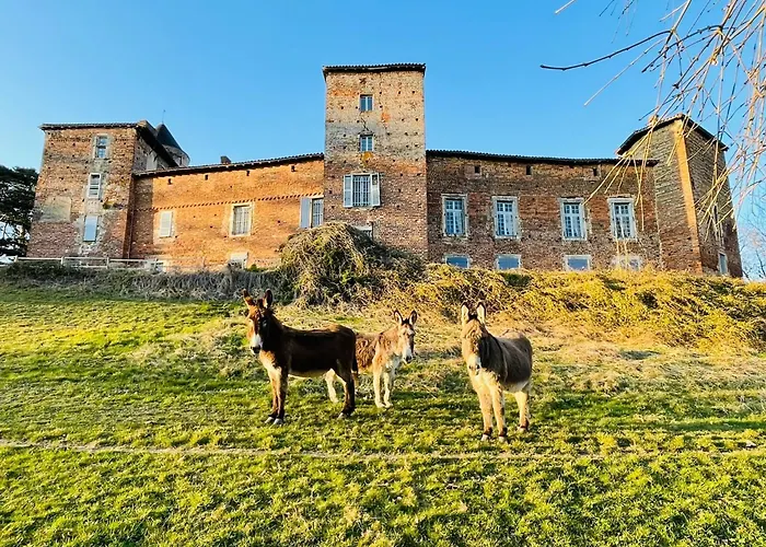 Chateau Du Montellier