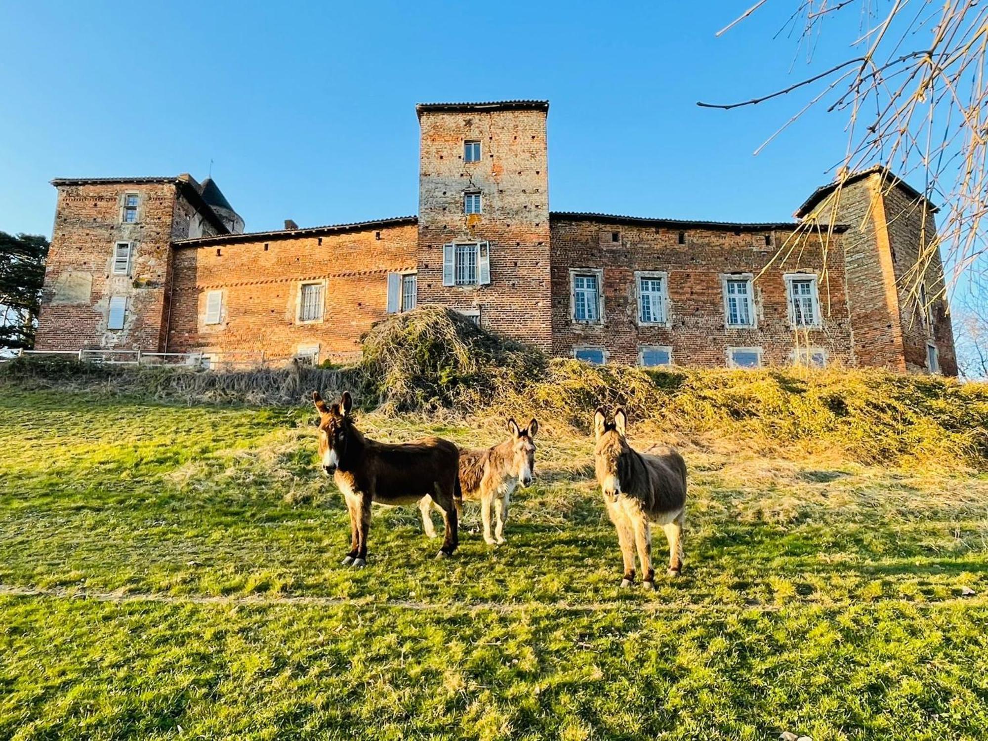 Chateau Du Montellier *